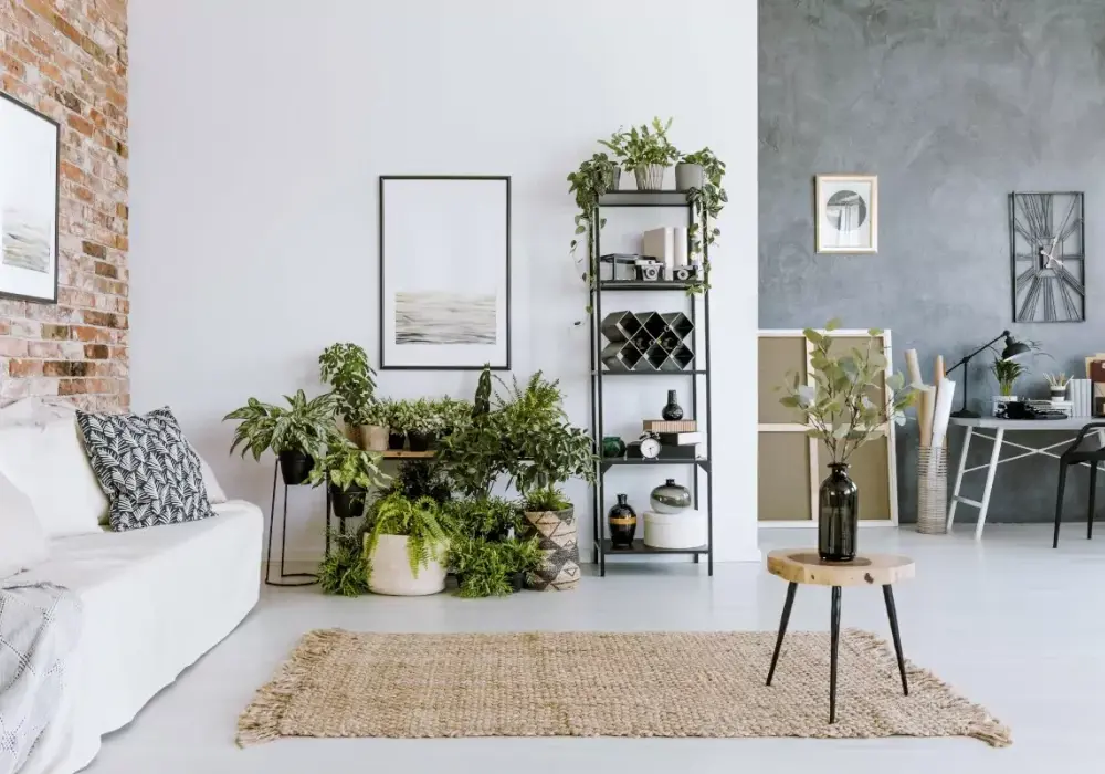 Jakie ozdoby do salonu? Inspiracje i pomysły na stylowy wystrój