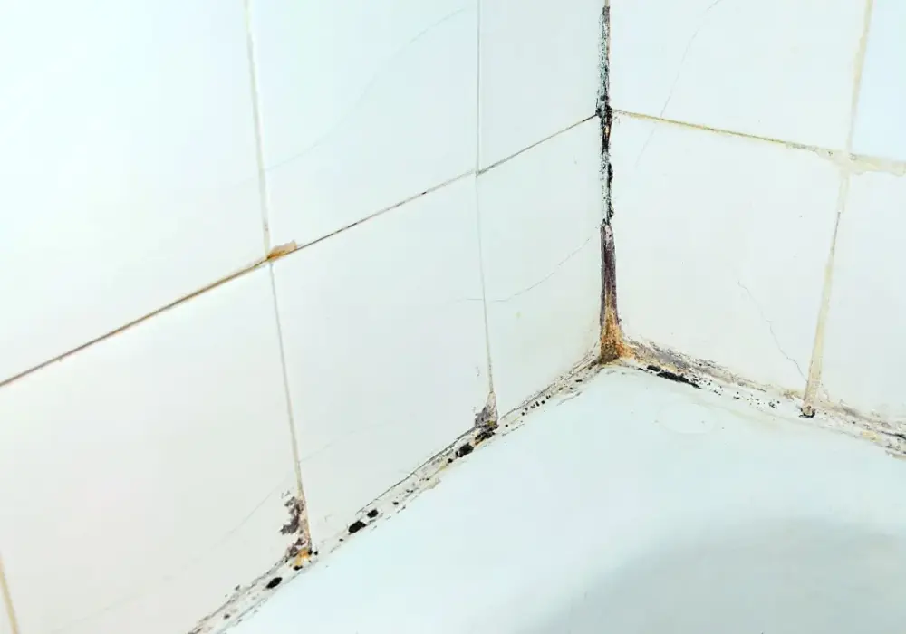 Skuteczne czyszczenie fug w łazience: 5 domowych sposobów