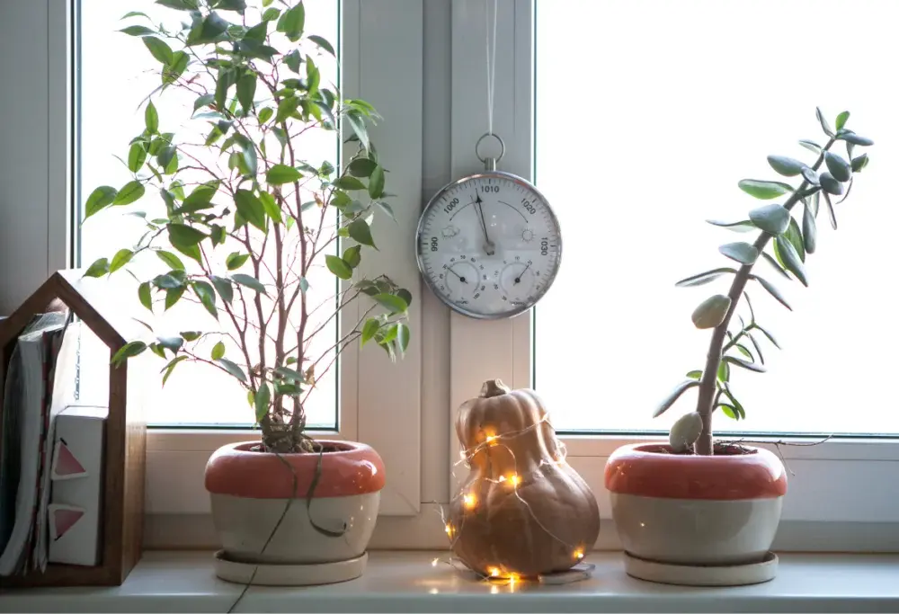 Co na parapet do łazienki? Najlepsze pomysły na stylową aranżację