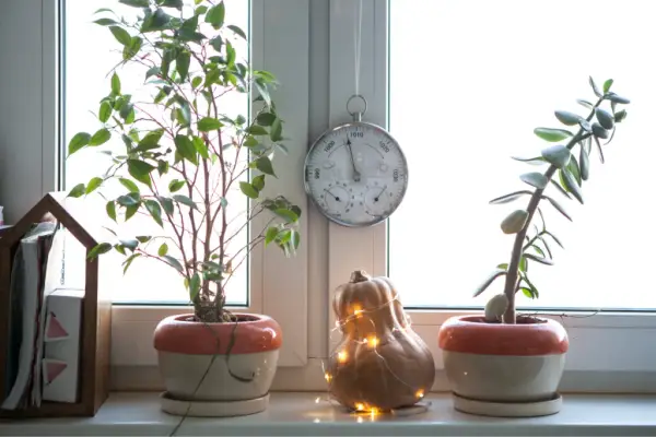 Co na parapet do łazienki? Najlepsze pomysły na stylową aranżację